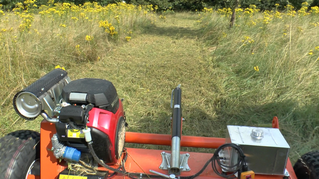 FM120 Cutting Ragwort .jpg